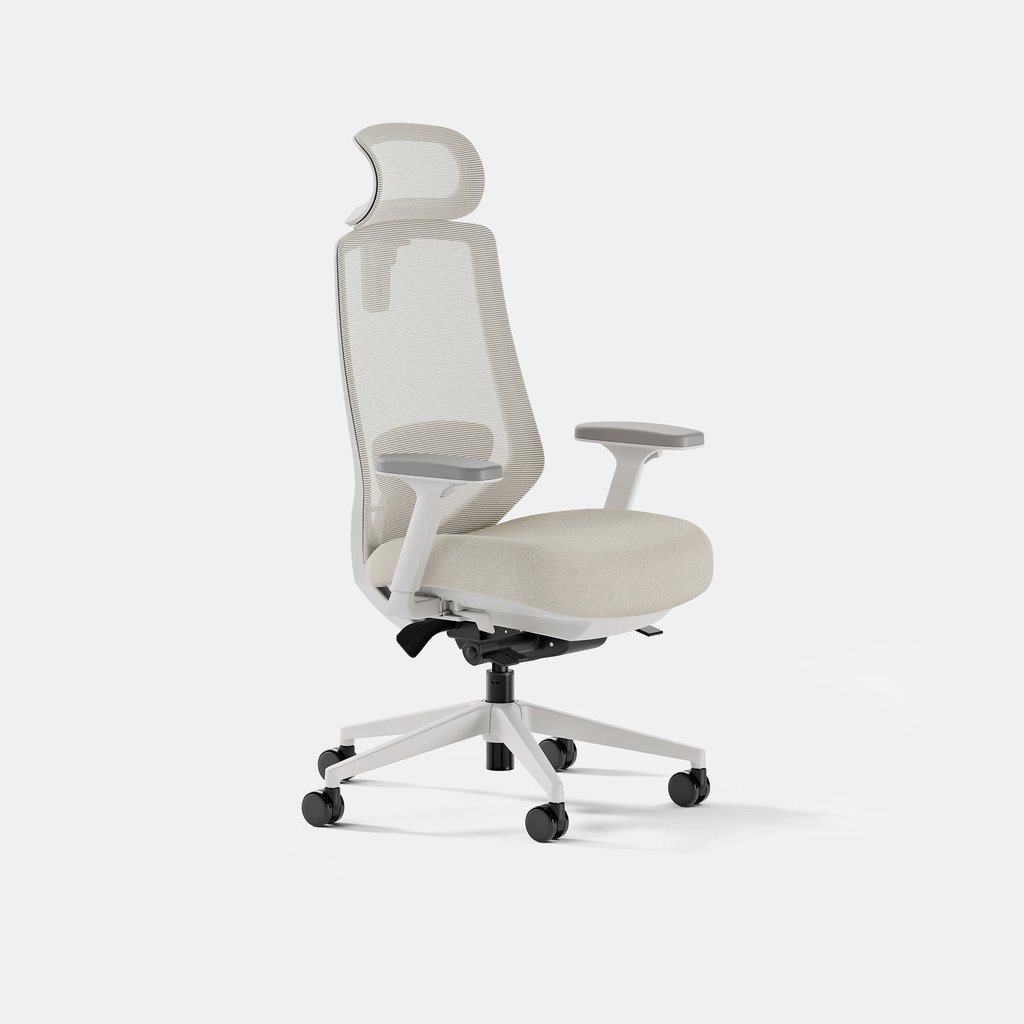 Ergonomic Chair Pro